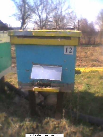 foto Gore - aceşti stupi 11,12,13,14 sunt �n altă - POZE SI VIDEO