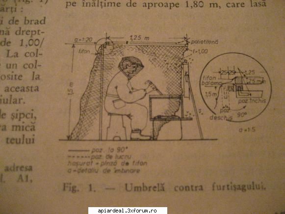furtisag - in cazul in care vrem sa evitam e bun acest - SUNT INCEPATOR