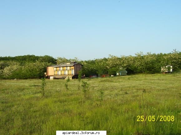 infloritu salchimului - Iata si locatia unde am fost - STUPARIT PASTORAL