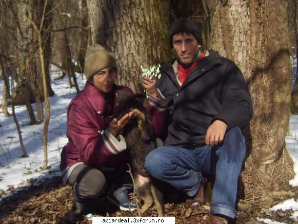 la cules de polen martie 2010 - in poiana cu ghiocei 14 martie 2010 - POZE SI VIDEO