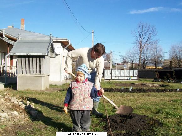 mica mea stupina - azi am plantat pomi. mare ajutor am avut - POZE SI VIDEO