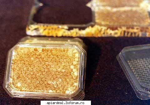 mierea in sectiuni - si inca una...gata de livrare - PRODUSELE STUPULUI