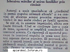 �nlocuirea mătcii prin ciocănit - Am citit ceva foarte interesant �ntr-o - STIATI CA...?