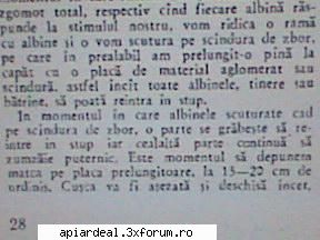 �nlocuirea mătcii prin ciocănit - gore - STIATI CA...?