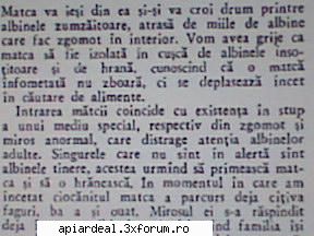 �nlocuirea mătcii prin ciocănit - gore - STIATI CA...?