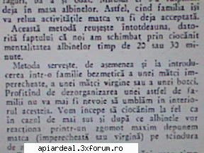 �nlocuirea mătcii prin ciocănit - gore - STIATI CA...?