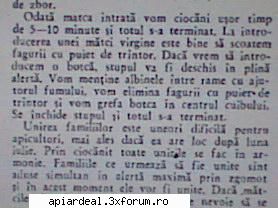 �nlocuirea mătcii prin ciocănit - gore - STIATI CA...?