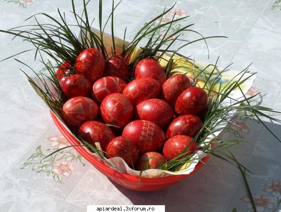 paste - Sarbatori de vis ! Lumina ce-o veti culege din - AICI PUTETI POSTA ORICE...