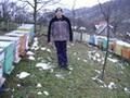 poze - marius - PROBLEME IN FOLOSIREA FORUMULUI