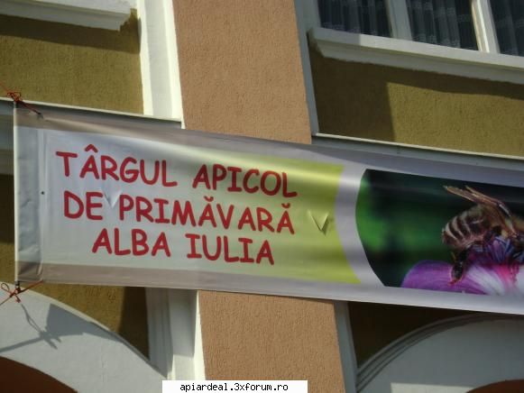 poze tirg alba iulia 2008 - is prea mari pozele dar cred ca merg acuma - POZE SI VIDEO