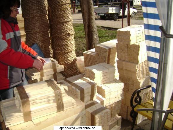 poze tirg alba iulia 2008 - marius - POZE SI VIDEO