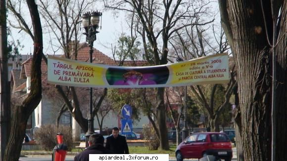 poze tirg alba iulia 2008 - intrarea in targ - POZE SI VIDEO
