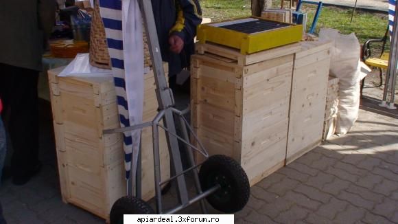 poze tirg alba iulia 2008 - carucior butoaie cred - POZE SI VIDEO