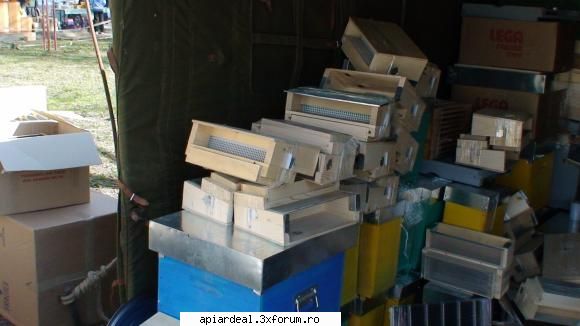 poze tirg alba iulia 2008 - claus - POZE SI VIDEO