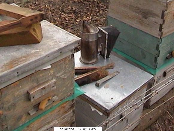 propolis productie si recoltare - Plasa de tantari o curat iarna prin frecare - PRODUSELE STUPULUI