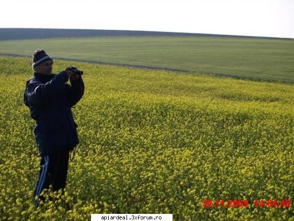 rapita de"iarna" pe plaiuri Dobrogene - N A MARIN face alte poze - PLANTE MELIFERE
