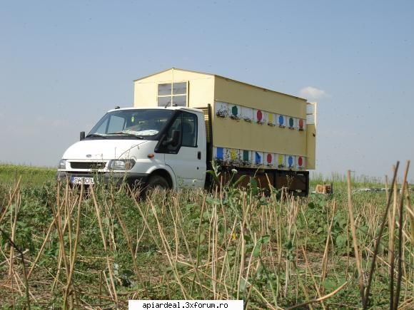 remorca - depinde de inaltimea lui. eu am container pe - STUPARIT PASTORAL