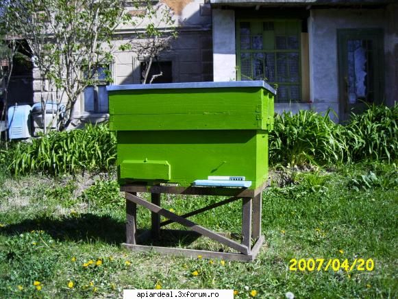 schite - Eu lucrez pe stupi multietajati, dar am construit - SCHITE STUPI