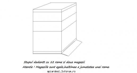 schite STUP VERTICAL 12 R + CAT 1/2 - Acesta e cel mai preferat stup al meu.Nu te - SCHITE STUPI