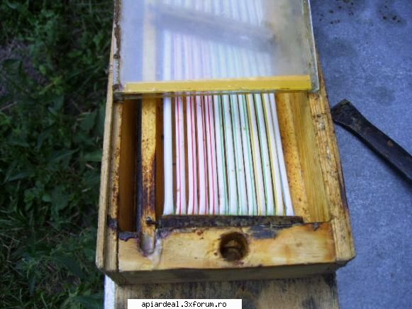 schite STUP VERTICAL 12 R + CAT 1/2 - roliold - SCHITE STUPI