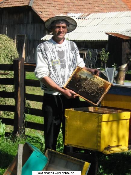 stimulari de primavara - sunt din ab (fenes)la noi este o zona cu mult - SUNT INCEPATOR