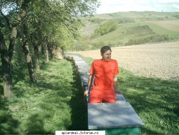 stupii mei - relaxare dupa o saptamana de lucru in forfota - POZE SI VIDEO