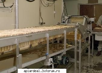 suedia 2003