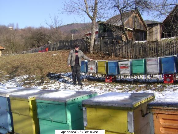 temperatura in tara - la amiaza grad plus in stupina este liniste si - INTRETINEREA ALBINELOR