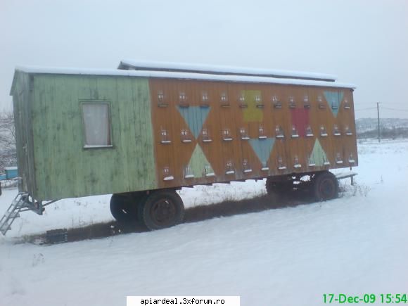 temperatura in tara - in pavilion sunt favorizatele - INTRETINEREA ALBINELOR