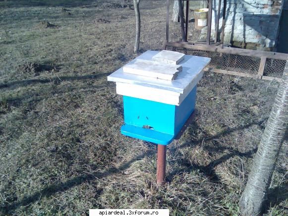 temperatura in tara - Nu stiu ce sa zic dar poate si mentinerea - INTRETINEREA ALBINELOR