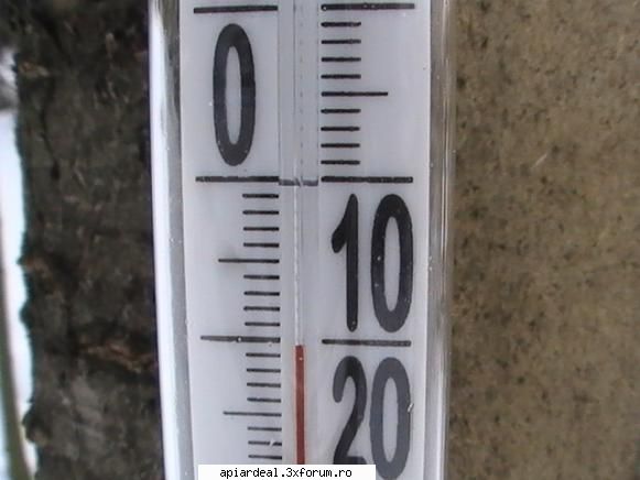 temperatura in tara - fullfit46 - INTRETINEREA ALBINELOR