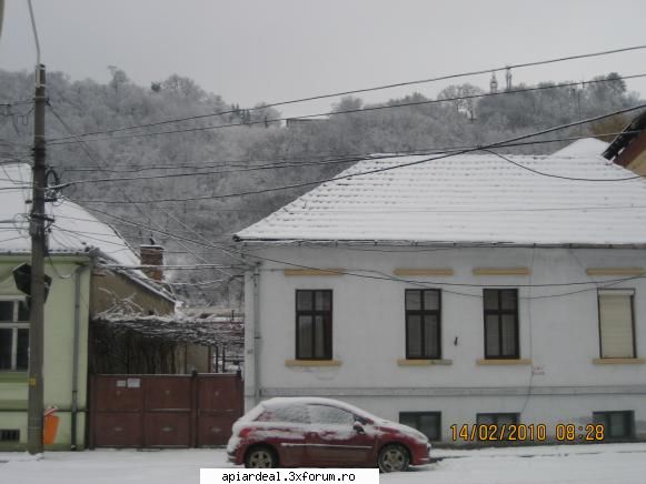 temperatura in tara - sighisoara 0 gr - INTRETINEREA ALBINELOR