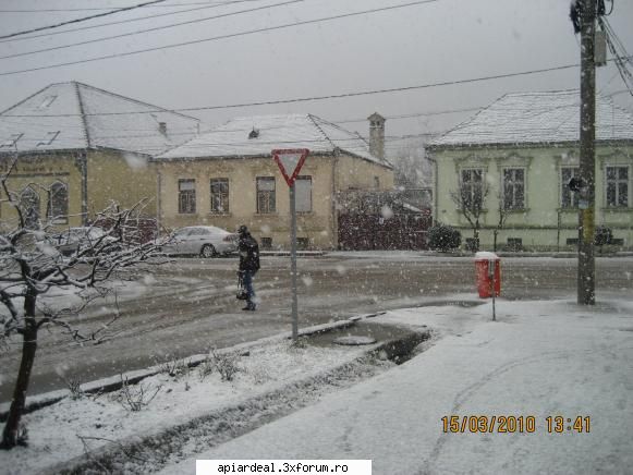 temperatura in tara - vara vara primavara - INTRETINEREA ALBINELOR