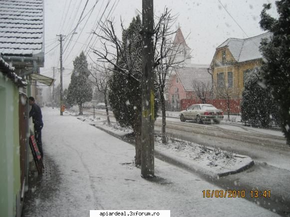 temperatura in tara - a venit primavara - INTRETINEREA ALBINELOR