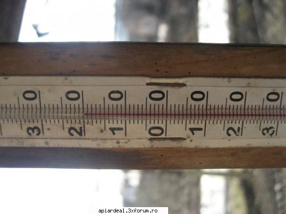 temperatura in tara - orbanstefan64 - INTRETINEREA ALBINELOR