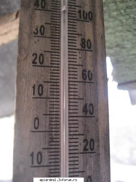 temperatura in tara - e temp reala. iata si celalalt termometru. e - INTRETINEREA ALBINELOR