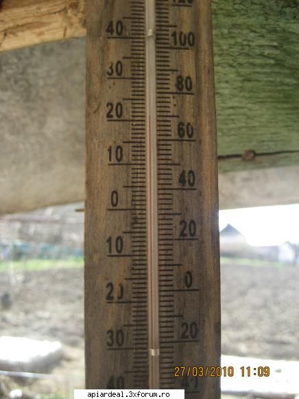 temperatura in tara - orbanstefan64 - INTRETINEREA ALBINELOR