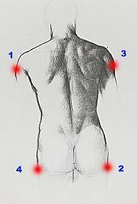 tuning - Schema de tratament cu venin de albine (albine - Hobby-uri