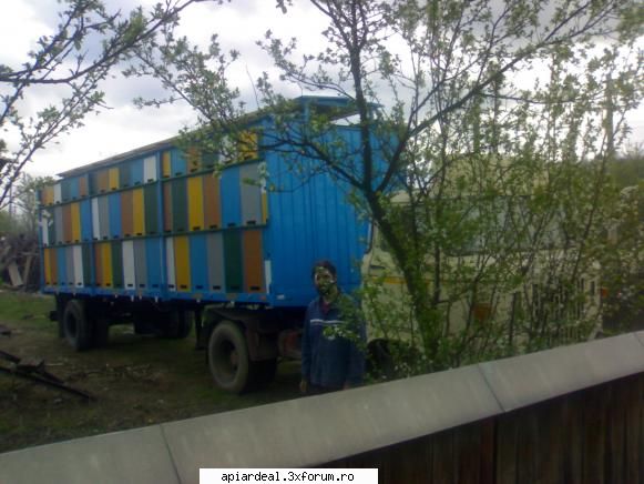 va place?????????? - silviucv - VANZARI
