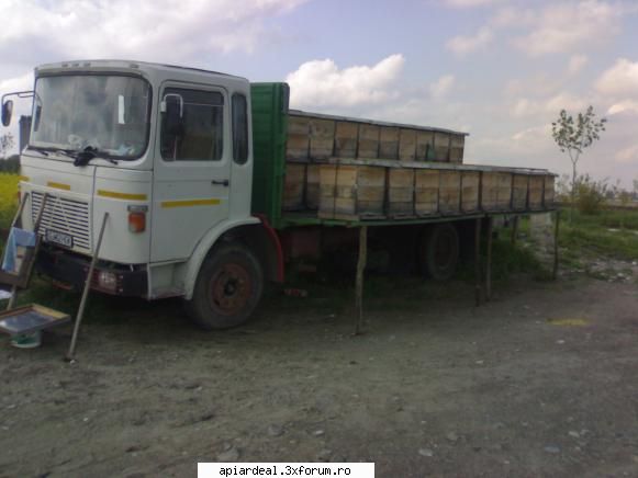 vand camion+pavilion apico - stupii pe camion intra 90 in lada si se pot - VANZARI