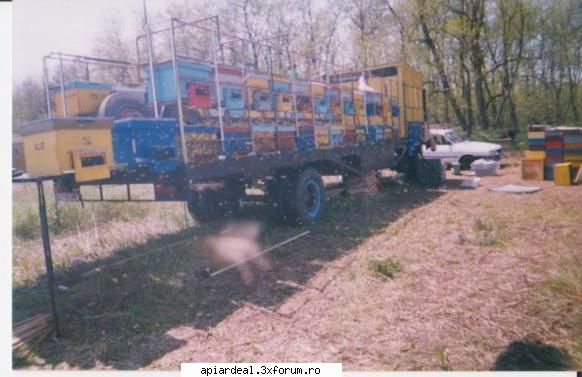 vand platforma apicola! - Se pot transporta cu ea 108 stupi dintre care 54 - VANZARI