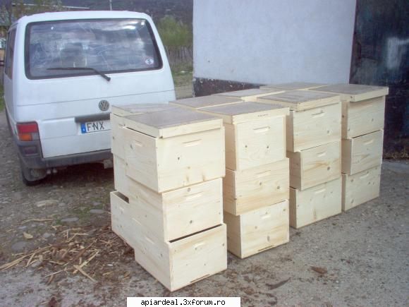 vand rame brad 0.8 ron - lucianzaharia - VANZARI
