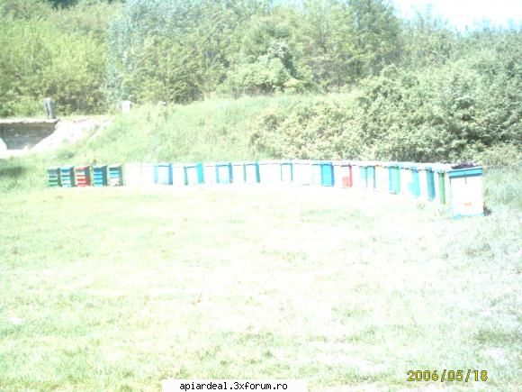 vand stupi aproape noi, vechime 3 ani - mariuscionoiu - VANZARI
