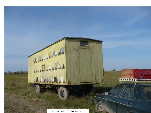 vand urgent pavilion cu albine - Vand foarte urgent pavilion apicol cu albine cu - VANZARI