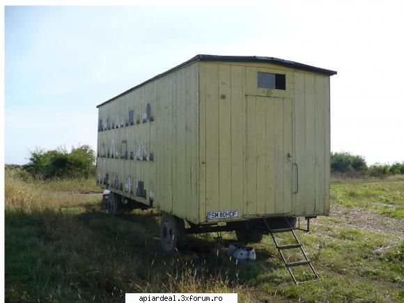 vand urgent pavilion cu albine - catel - VANZARI