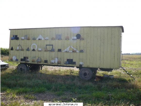 vand urgent pavilion cu albine - catel - VANZARI